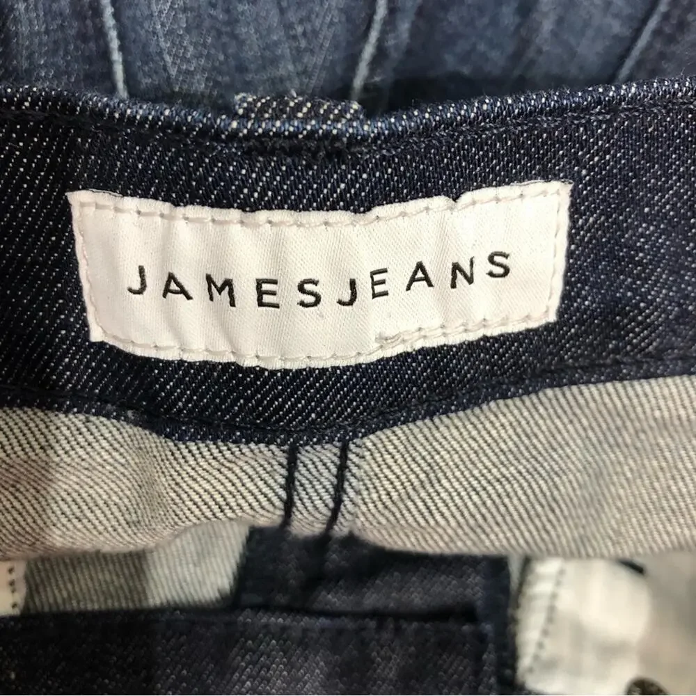 James Jeans Twiggy Skinny Jeans in Carbon 25 EUC
